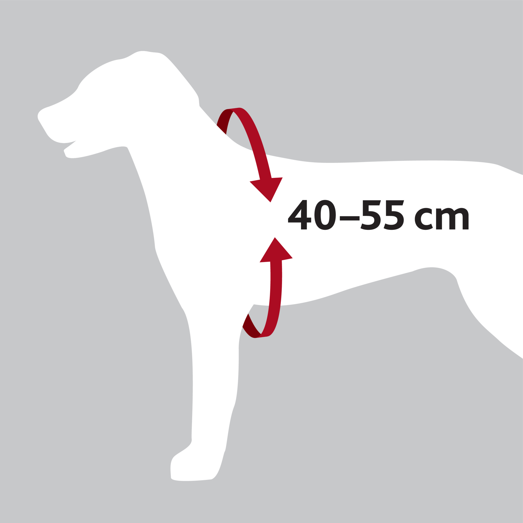 TRIXIE Autogeschirr Dog Comfort TRIXIE Auto-Geschirr Comfort, S–M: 40–55 cm/17 mm, schwarz