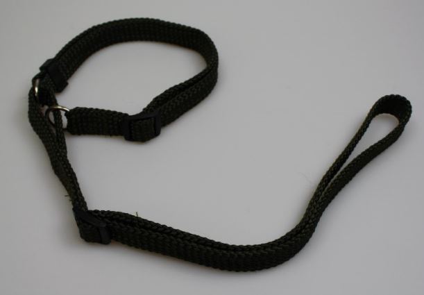 Agilityleine / Moxonleine mit verstellbarer Handschlaufe  18mm / Halsband 35-65cm  khaki