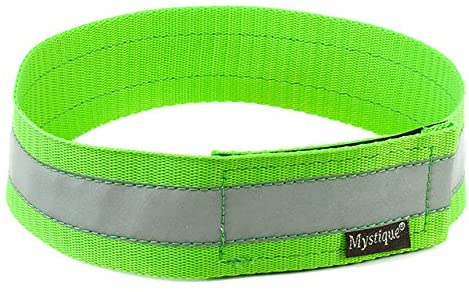 Mystique® Signalhalsband 40mm 55cm  neongrün