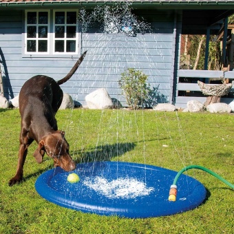 Hunde-Wasserspielmatte Splashy Mat Größe: Ø 150 cm