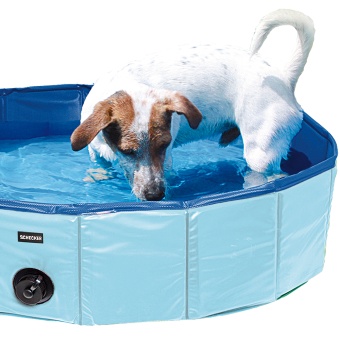 Swimmingpool für Hunde in drei Größen 